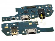 placa-auxiliar-service-pack-con-conector-de-carga-datos-y-accesorios-usb-tipo-c-y-conector-audio-jack-para-samsung-galaxy-a20e-sm-a202f
