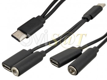 Adaptador blanco y negro USB tipo C hembra y Audio jack 3.5mm a Micro USB tipo C macho