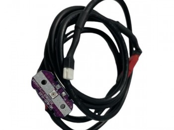 Cable con modulo de luz trasera para Smartgyro Baggio